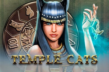 Информация за играта Храмови котки