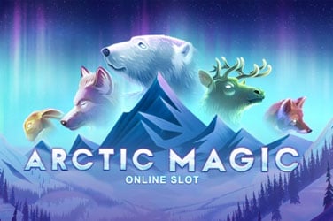 Информация за играта Arctic magic