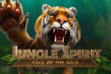 Информация за играта Jungle spirit: call of the wild