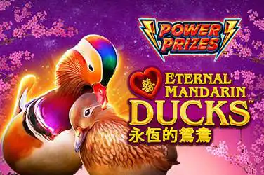 Power prizes eternal mandarin ducks