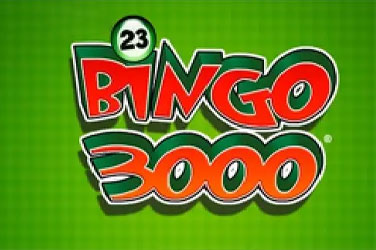 Информация за играта Bingo 3000