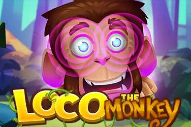 Loco the monkey