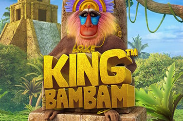Информация за играта Кинг бам бам