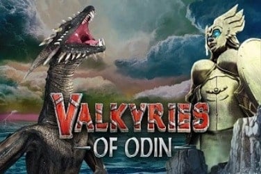 Информация за играта Valkyries of odin