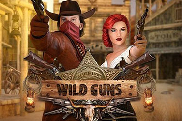 Информация за играта Wild guns