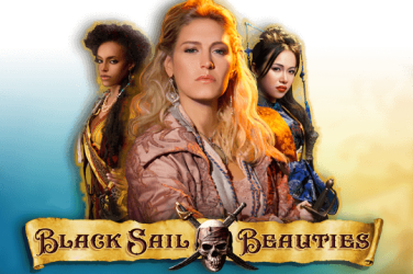 Информация за играта Black Sail Beauties