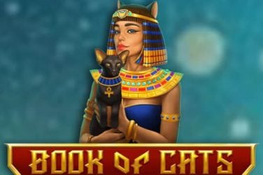 Информация за играта Book of Cats