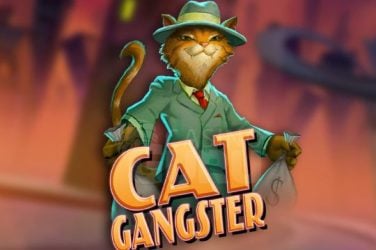 Cat Gangster