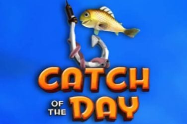 Информация за играта Catch of the Day