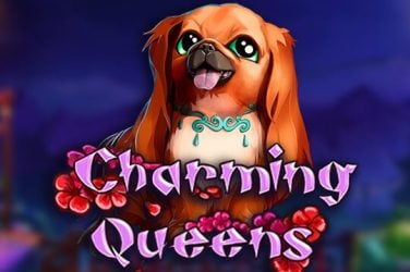 Информация за играта Charming Queens