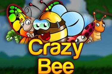Информация за играта Crazy Bee