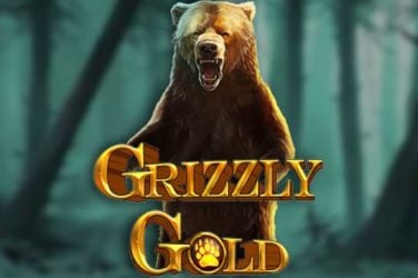 Информация за играта Grizzly Gold