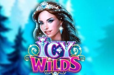 Информация за играта Icy Wilds