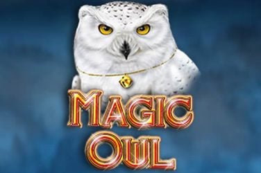Информация за играта Magic Owl