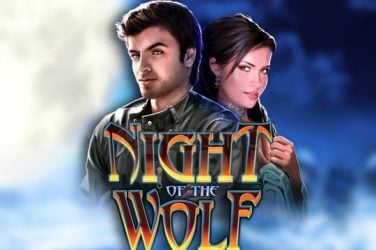 Информация за играта Night Of The Wolf