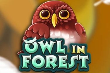 Информация за играта Owl In Forest