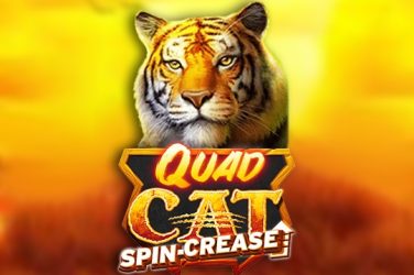 Информация за играта Quad Cat