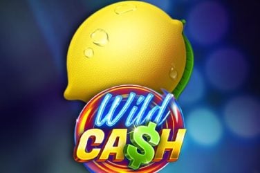 Информация за играта Wild Cash