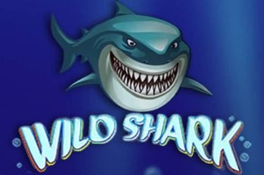 Wild Shark