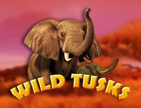 Wild Tusks