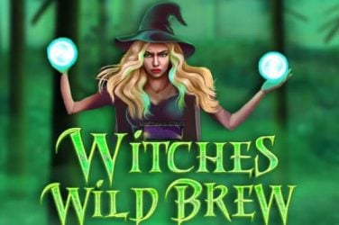 Информация за играта Witches Wild Brew