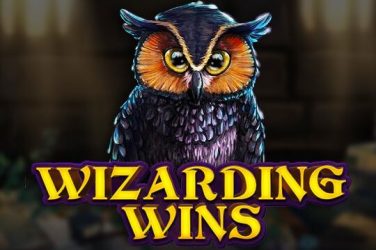 Информация за играта Wizarding Wins