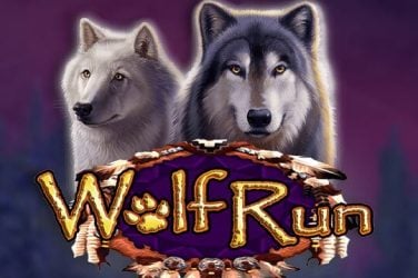 Информация за играта Wolf Run
