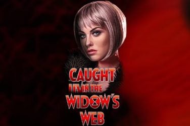 Caught in the Widow’s Web