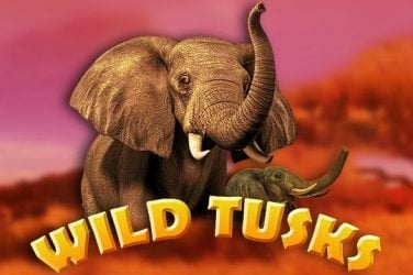 Wild Tusks